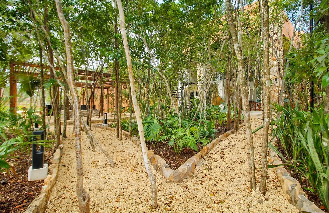Aldea Savia Garden House-1